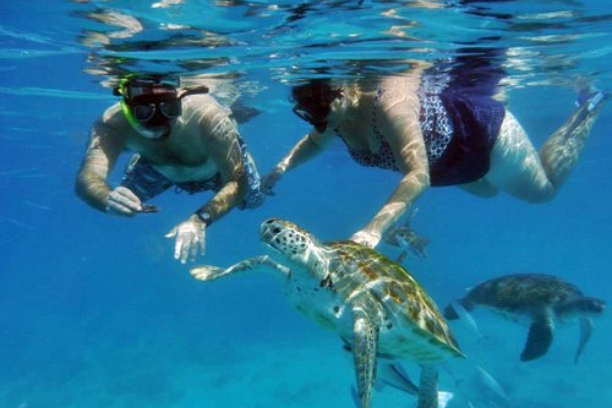 New Project (3) New Project (3)