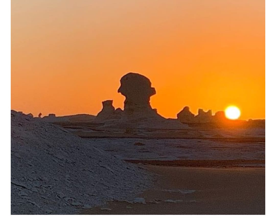 WhatsApp Image 2023-11-22 at 10.32.28 PM (2)