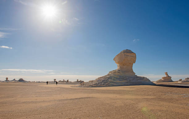 istockphoto-1598584731-612×612