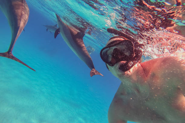 Orange Bay Island Tour