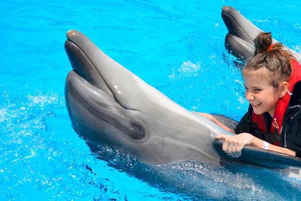 12-Swim with dolphins in Hurghada
