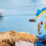 50771896_567194740420996_8755526794104274944_o