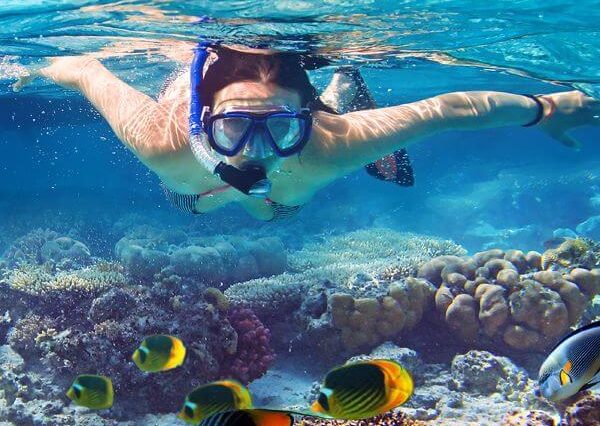 5-Day Red Sea Escape: Fun in the Sun Marsa Alam